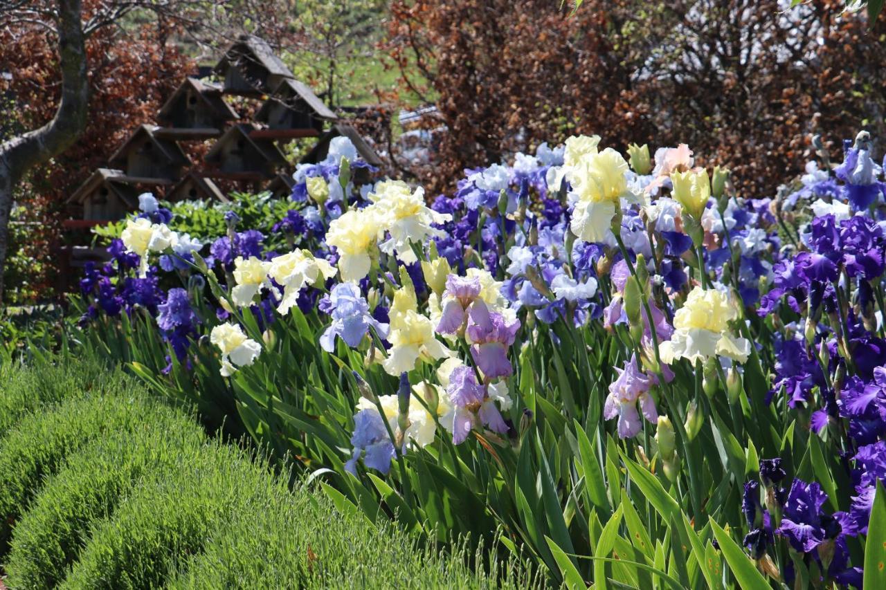Hawarden Hurunui Homestead Bed And Breakfast מראה חיצוני תמונה