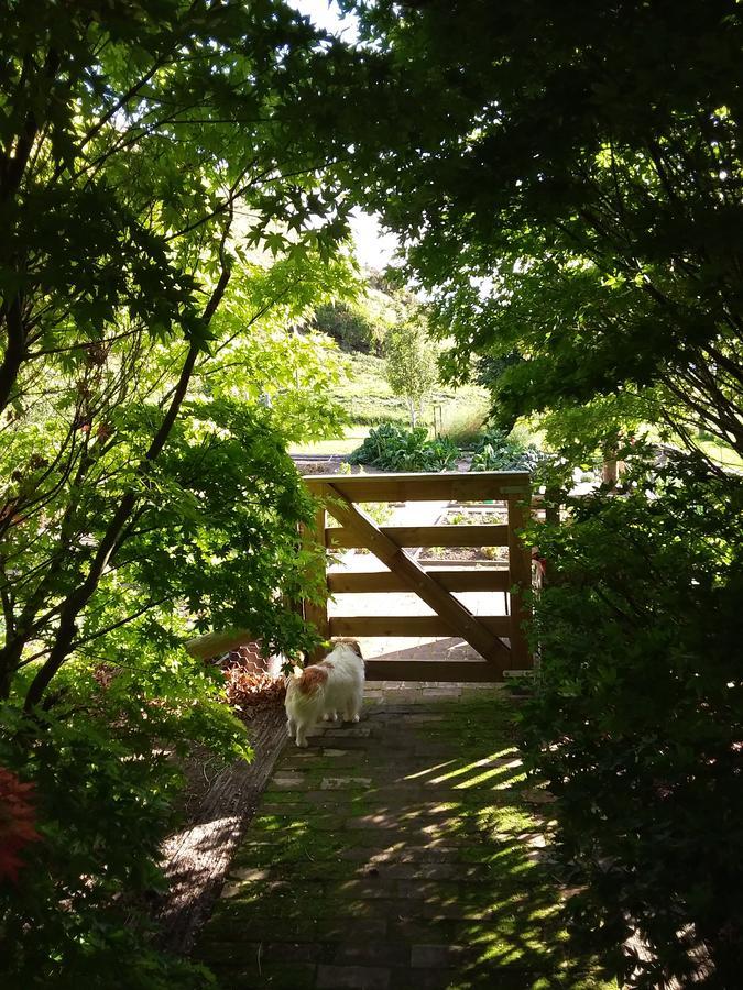 Hawarden Hurunui Homestead Bed And Breakfast מראה חיצוני תמונה